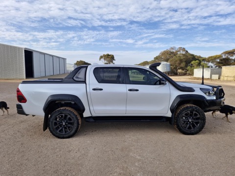 IMG 20251106 094052 1